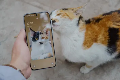 BetCart Kasino Mobiilisovellus